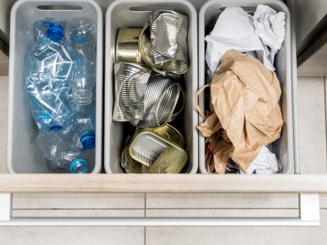 Types of garden waste for removal